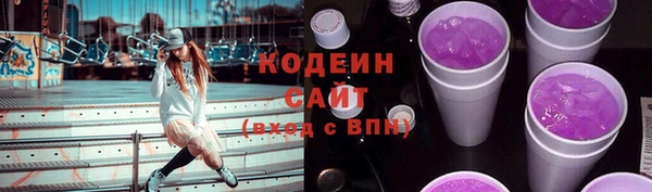 PSILOCYBIN Горняк