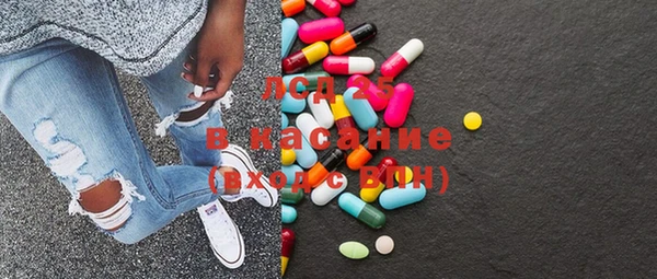 PSILOCYBIN Горняк