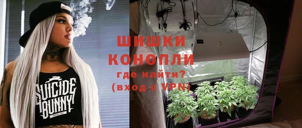 apvp Горнозаводск