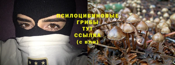 PSILOCYBIN Горняк