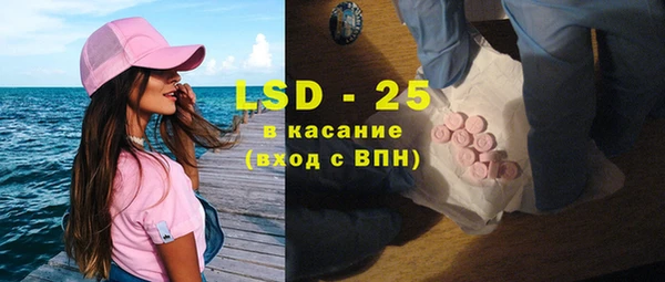 PSILOCYBIN Горняк