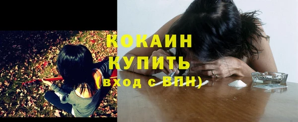 PSILOCYBIN Горняк