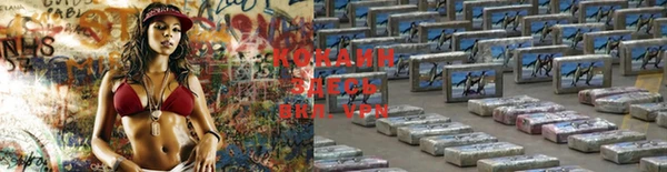 PSILOCYBIN Горняк